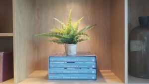 A stack of books with a plant on top